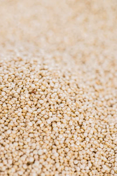 Portion Quinoa-Hintergrund — Stockfoto