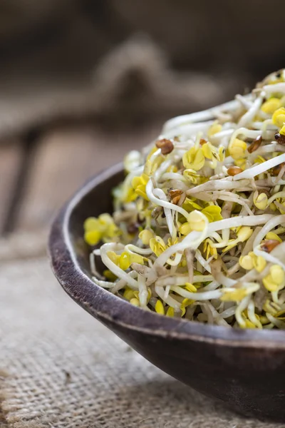 Portion of Radish Sprouts — Stock Photo, Image