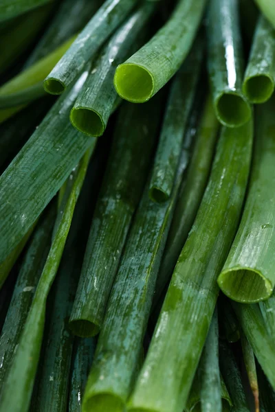 Scallions fresh cutted — Stock Photo, Image