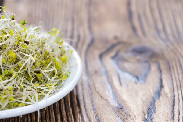 Etwas frische Brokkoli-Sprossen — Stockfoto