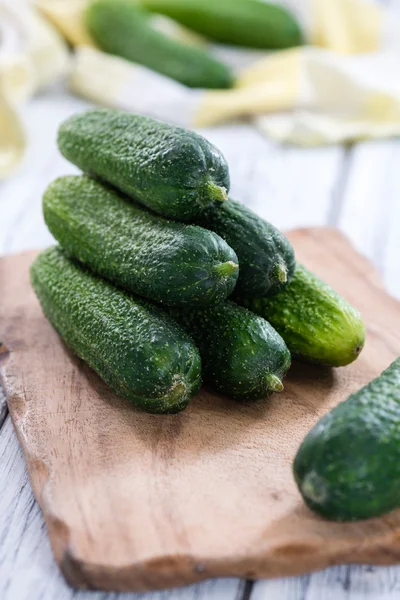 Pequeños pepinos primer plano tiro —  Fotos de Stock