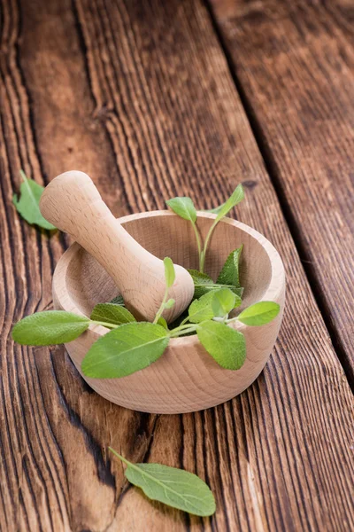 Portion of fresh Sage — Stock Photo, Image