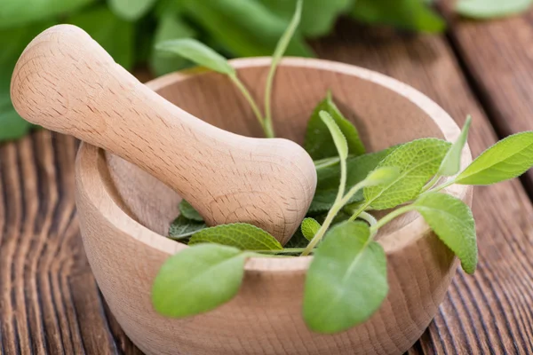 Portion of fresh Sage — Stock Photo, Image