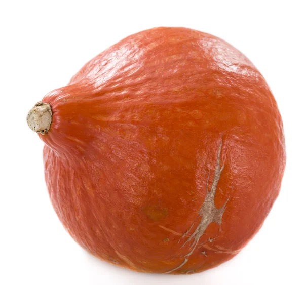 Färska orange pumpa — Stockfoto