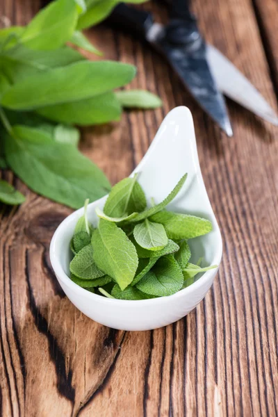 Haufen frischer Salbeiblätter — Stockfoto