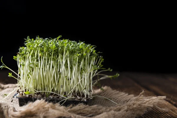 Fresh Cress (close-up shot) — Stock Photo, Image