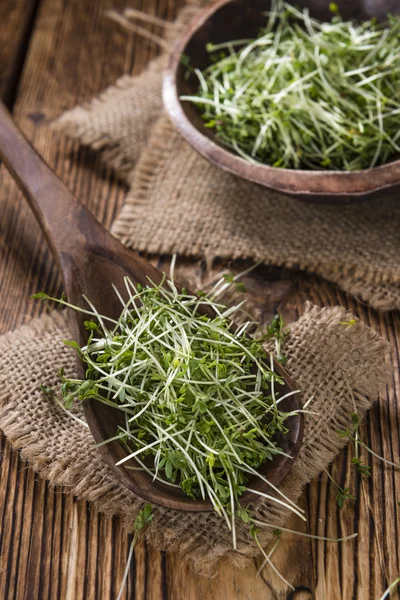 Taze garden cress — Stok fotoğraf