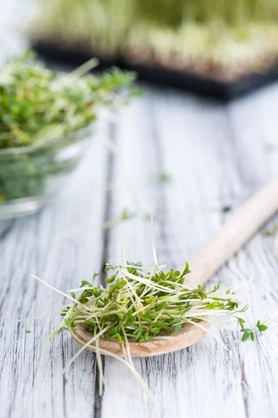 Berro verde fresco — Foto de Stock