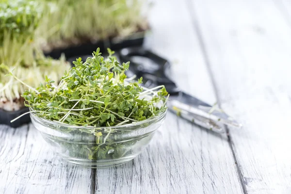 Fresh Garden Cress — Stock Photo, Image