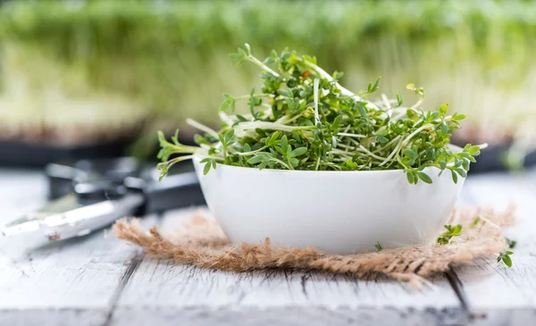 Del av färska trädgård krasse — Stockfoto