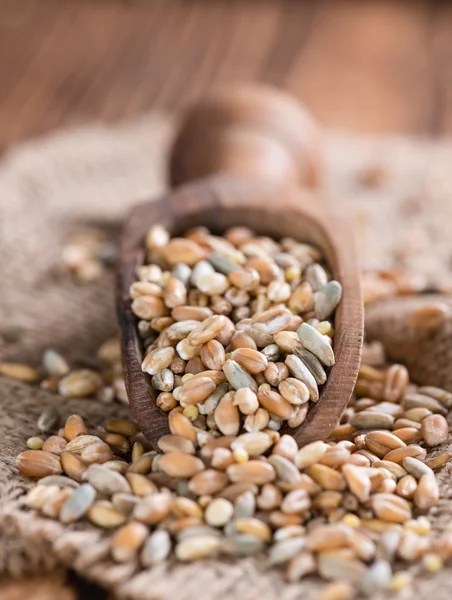 Porción de cereales mezclados —  Fotos de Stock