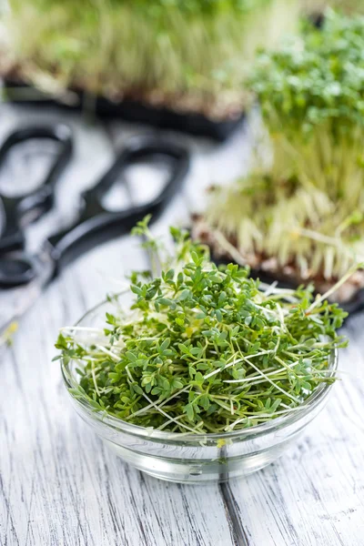 Verse Cress op tafel — Stockfoto