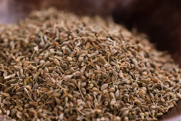 Анисские семена — стоковое фото