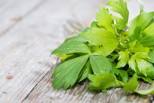 Fresh Lovage leaves — Stock Photo, Image