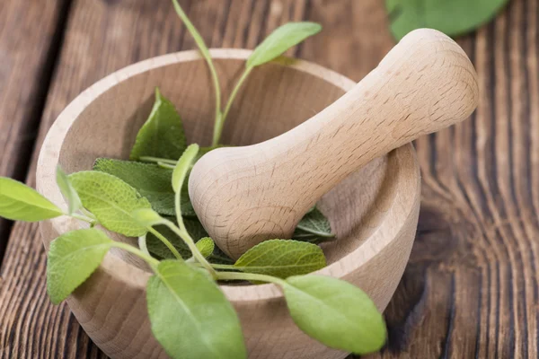 Salvia fresca en la mesa — Foto de Stock