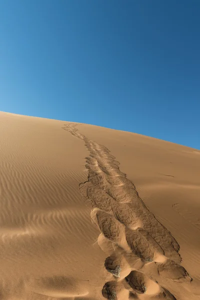 Deserto do Namib perto de Sossusvlei — Fotografia de Stock