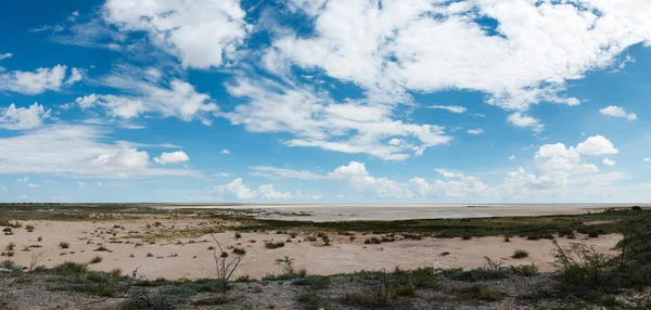 Etoscha-Nationalpark, Namibia — Stockfoto