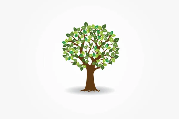 Árbol Ecología Símbolo Vida Logotipo Vector Diseño Imagen — Vector de stock