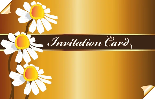 Schöne Vintage Goldene Einladungskarte Mit Wilden Gänseblümchen Blumen Vektor Bildvorlage — Stockvektor