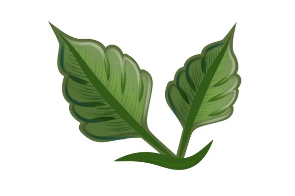 Logo Foglia Salute Natura Ecologia Logo Vettore Immagine Design — Vettoriale Stock