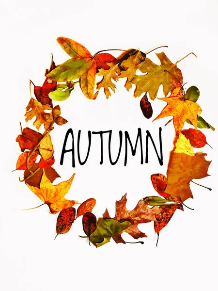 Witamy Jesienią Wieniec Naturalne Kolorowe Liście Kształcie Koła Obraz Tło — Zdjęcie stockowe