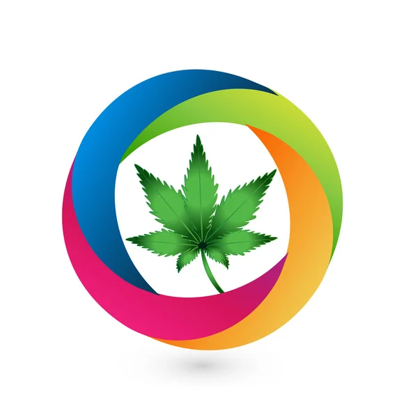 Logotipo da folha de Cannabis logotipo colorido ícone — Vetor de Stock