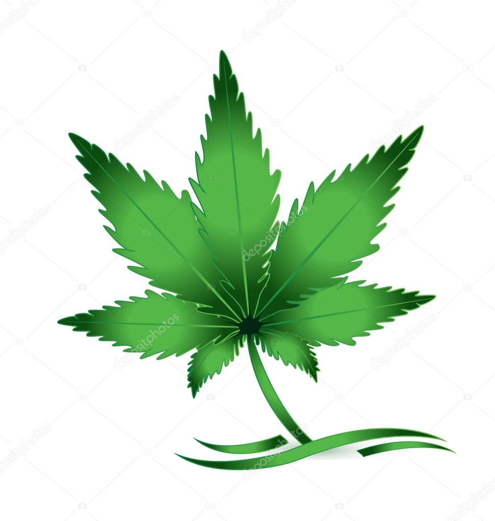 Leaf of cannabis marijuana vector icon logo