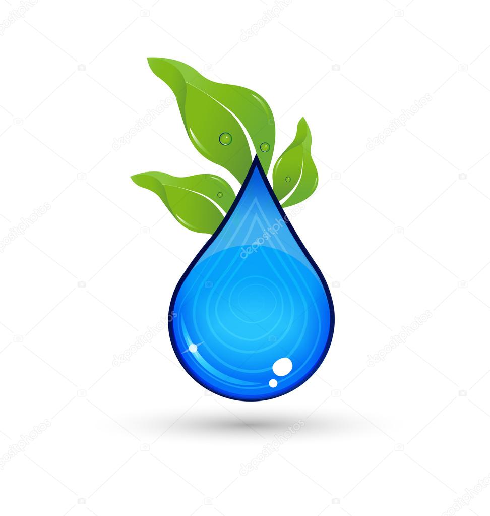 Drop of Water with green leafs logo vector