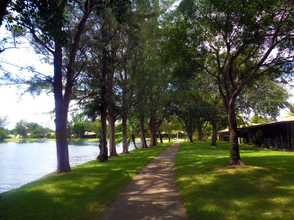 Path way around the lake picture photo background — Stock Photo, Image