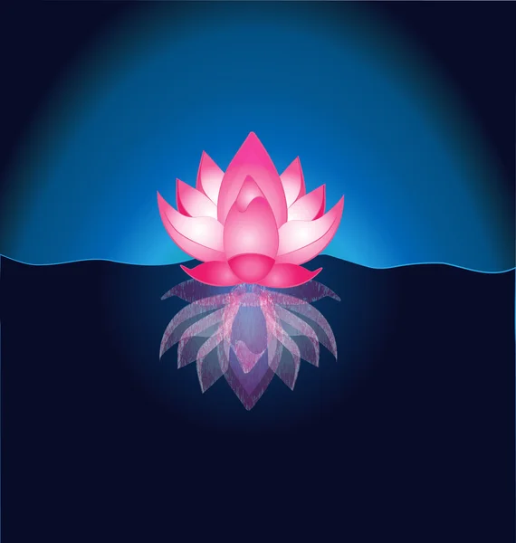 Lotus flower background — Stock Vector