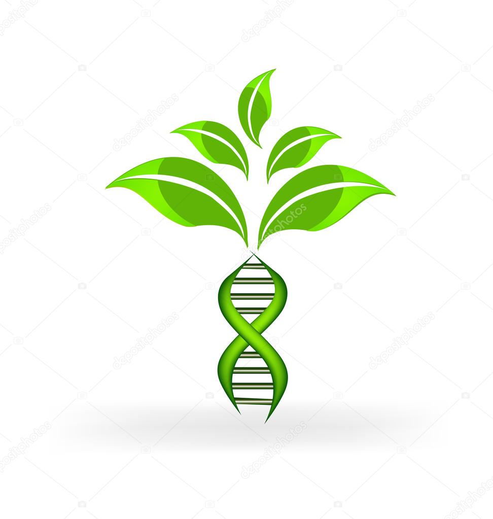 Dna Plant Royalty Free Vector Image VectorStock
