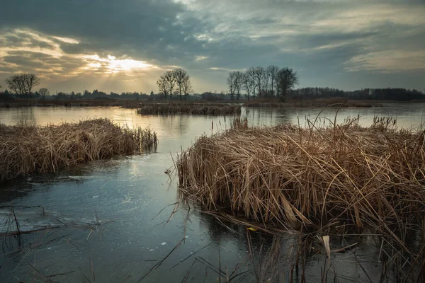 Reeds Frozen Lake Night Clouds Sunshine Stankow Lubelskie Polónia — Fotografia de Stock
