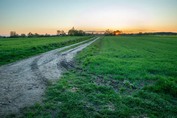 Saia Uma Estrada Terra Com Campos Verdes Pôr Sol Vista — Fotografia de Stock