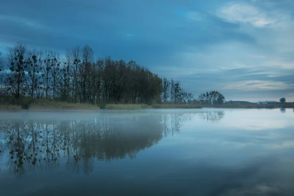 Nebliger See Bäume Ohne Blätter Und Abendhimmel Blick Auf Den — Stockfoto