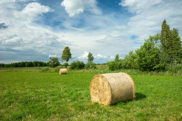 緑の牧草地 夏の晴れた日に横たわっている丸い干し草の俵 — ストック写真