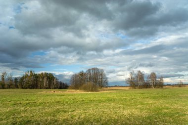 Mavi gökyüzünde yeşil çayır, ağaçlar ve bulutlar