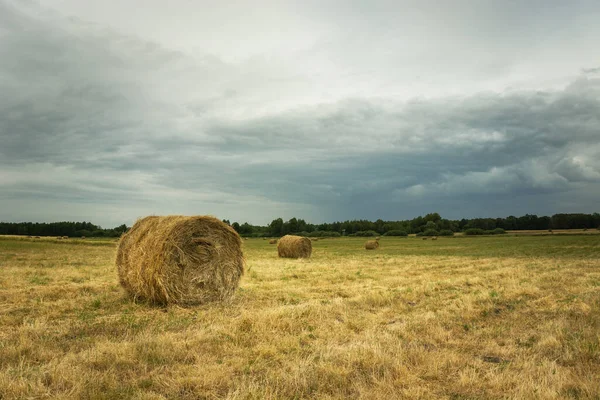Fardos de feno no campo e as nuvens de chuva cinza vindouras — Fotografia de Stock