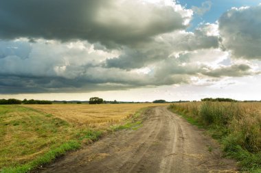 Kumlu yol tarlaya ve bulutlu gökyüzü, yaz manzarası
