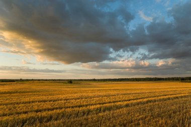 Büyük kirli sakal ve bulutlu akşam gökyüzü güneşle aydınlanıyor, yaz manzarası