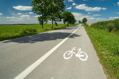 Yoldaki asfalt bisiklet yolu, ağaçlar ve mavi gökyüzü, yaz manzarası