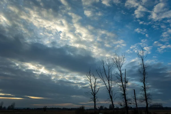 Yapraksız Ağaçlar Mavi Gökyüzünde Akşam Bulutları — Stok fotoğraf