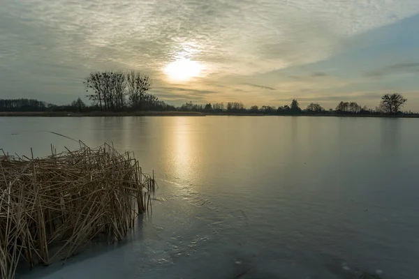 Lago Congelado Com Juncos Secos Pôr Sol Nuvens Céu Noite — Fotografia de Stock