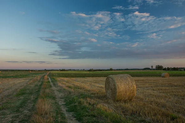 Vidéki Mezők Szénával Esti Felhők Nyári Vidéki Kilátás — Stock Fotó