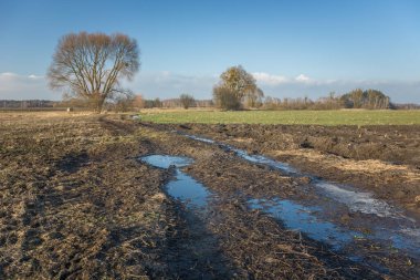 Toprak yolda çamur ve su tarlalarda, ilkbahar manzarası