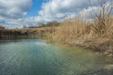 Göldeki yeşil su ve sahildeki kuru otlar, güneşli bir gün.