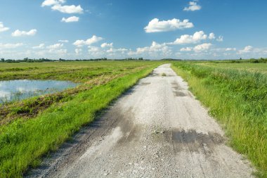 Kırsal yolun kenarındaki yeşil çayırda bir su birikintisi.