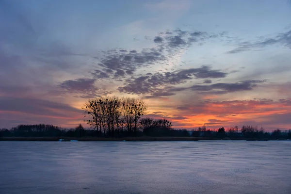 Frozen lake, trees and colorful evening sky — Fotografia de Stock