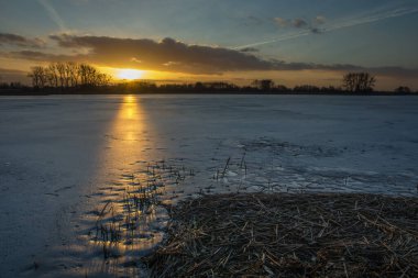 Donmuş bir gölün üzerindeki batan güneşin parlaklığı. Sazlıklarla, kış akşamı manzarasıyla.