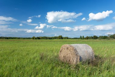 Çayırdaki yeşil çimlerde duran balya, yaz manzarası.
