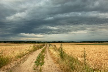 Kumlu yol tahıl tarlalarında ve bulutlu gökyüzünde